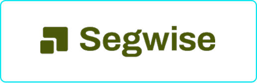 Segwise – Marketing Automation AI